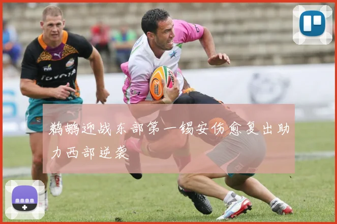 鹈鹕迎战东部第一锡安伤愈复出助力西部逆袭