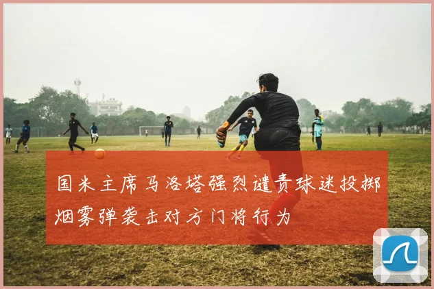 国米主席马洛塔强烈谴责球迷投掷烟雾弹袭击对方门将行为