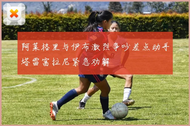 阿莱格里与伊布激烈争吵差点动手塔雷富拉尼紧急劝解