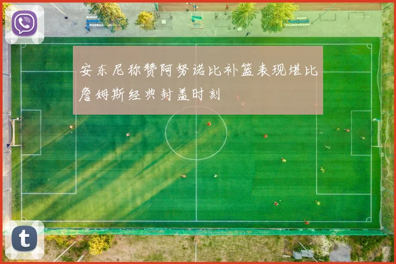 安东尼称赞阿努诺比补篮表现堪比詹姆斯经典封盖时刻